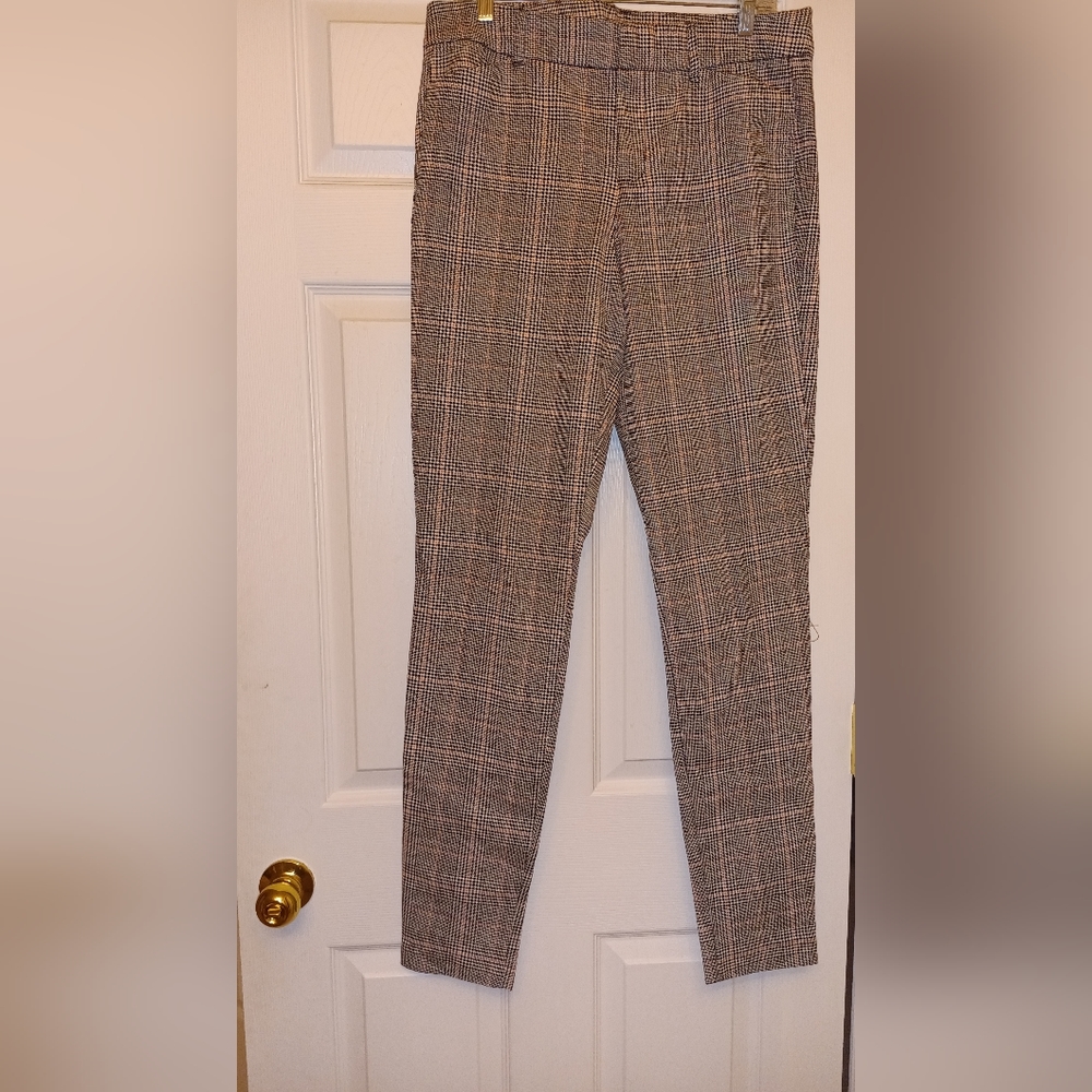 Pant